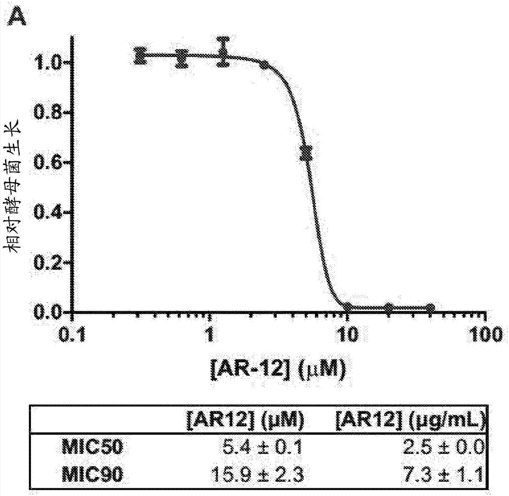 十大外围足球平台app