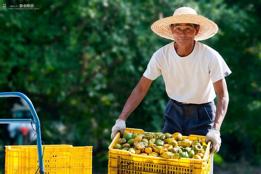 十大外围足球平台app