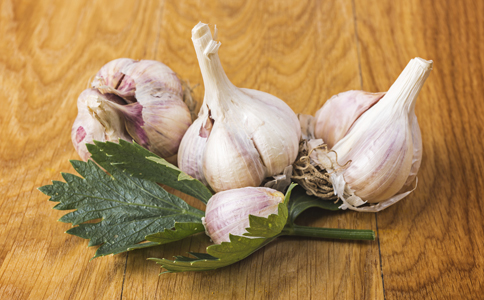 十大外围足球平台app