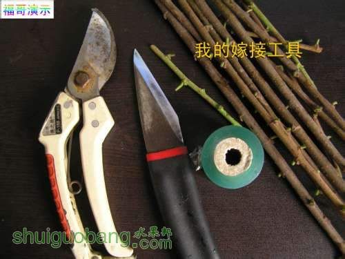 十大外围足球平台app