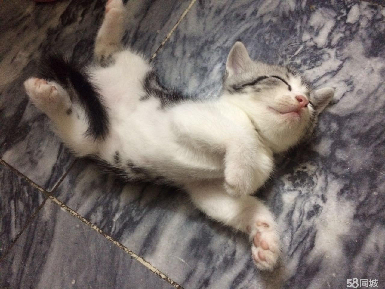 十大外围足球平台app