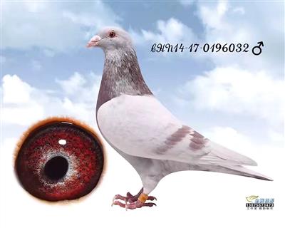 十大外围足球平台app