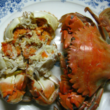 十大外围足球平台app