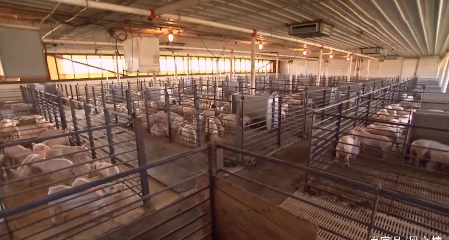 十大外围足球平台app