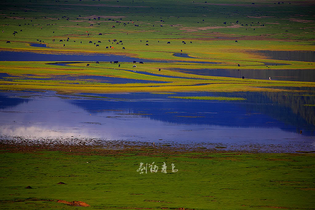 十大外围足球平台app