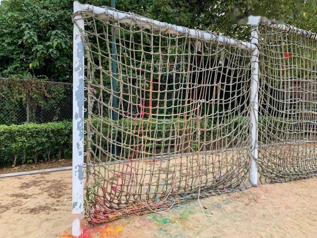 十大外围足球平台app|
校园一角(图8)