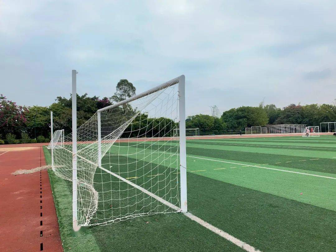 十大外围足球平台app|
校园一角(图7)