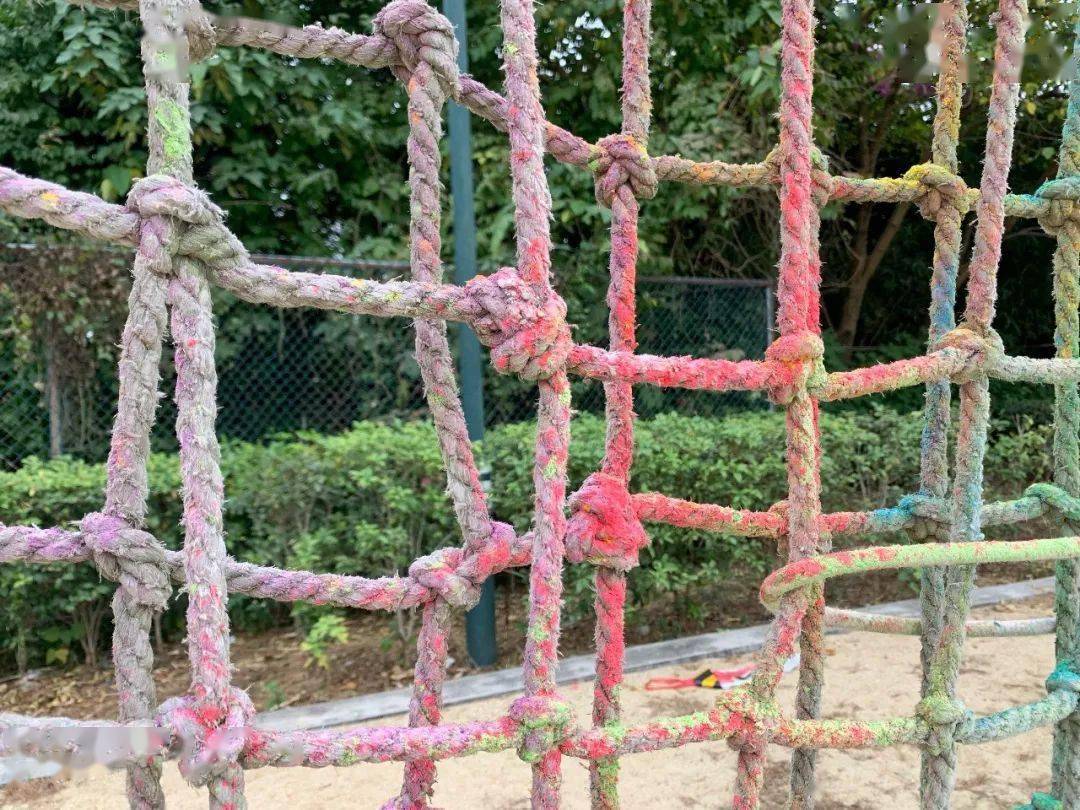 十大外围足球平台app|
校园一角(图9)