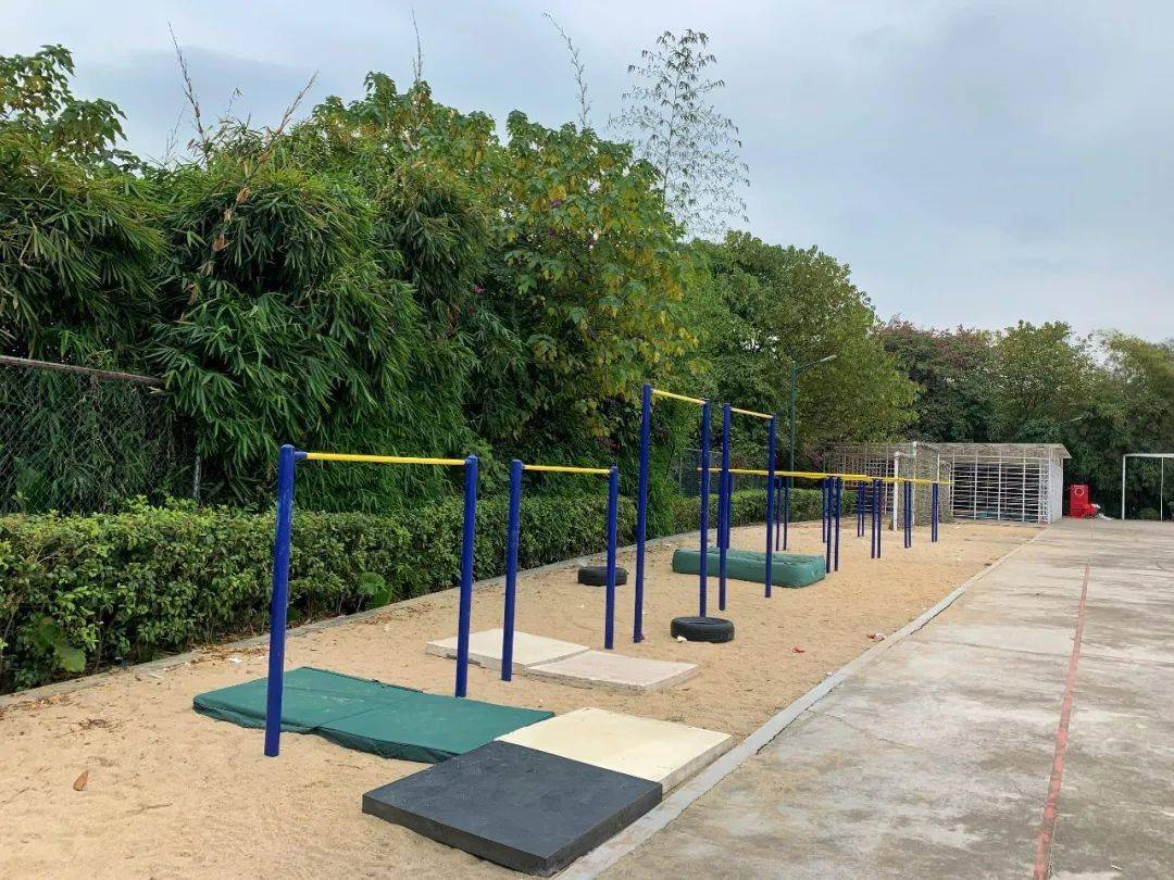 十大外围足球平台app|
校园一角(图12)