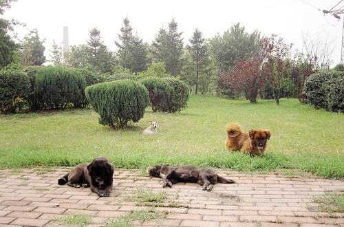 十大外围足球平台app