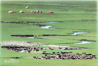 十大外围足球平台app