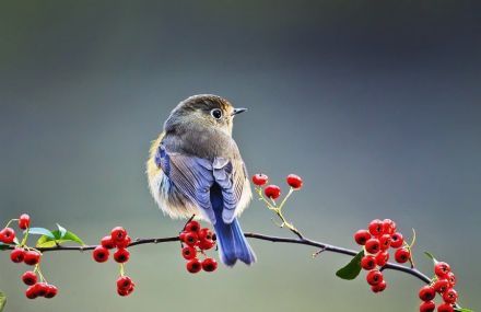 十大外围足球平台app