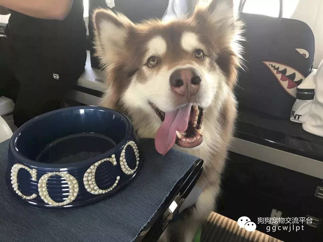 十大外围足球平台app