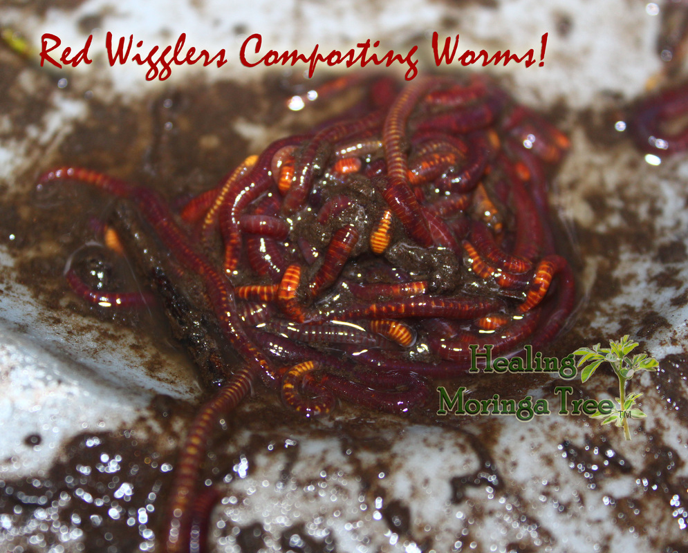 如何举行高质量思考?一份来自《瑞克和莫蒂》的政治哲学书单_十大外围足球平台app(图2) 十大外围足球平台app