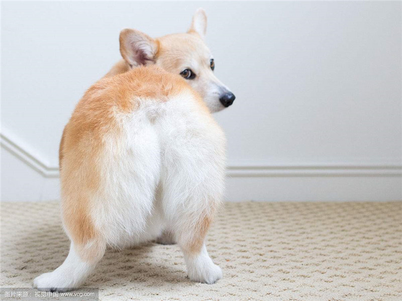 十大外围足球平台app