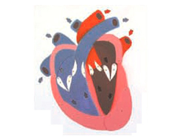 特斯拉下一家超级工厂将定址柏林|十大外围足球平台app(图2) 十大外围足球平台app