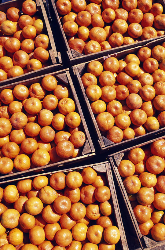 十大外围足球平台app