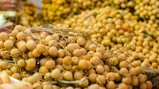 小偷被强喂48根香蕉排出所盗金饰 警方:要洗干净:十大外围足球平台app(图1) 十大外围足球平台app