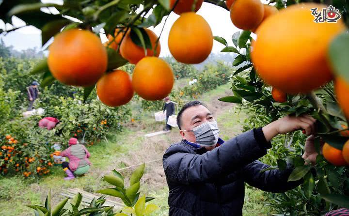 十大外围足球平台app