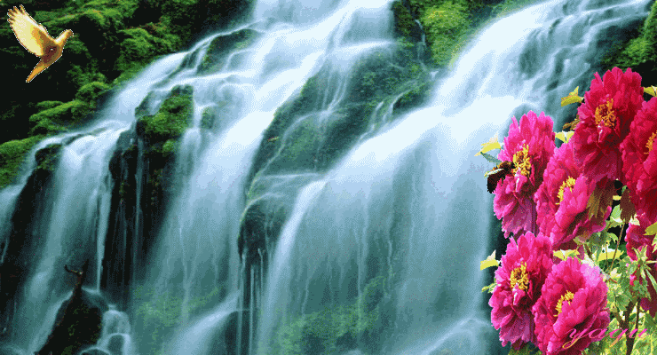 十大外围足球平台app