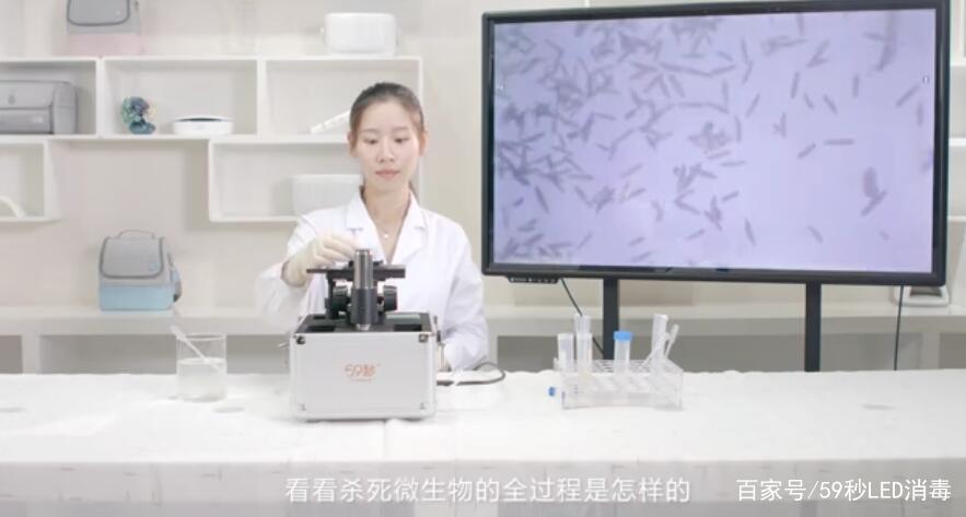 十大外围足球平台app