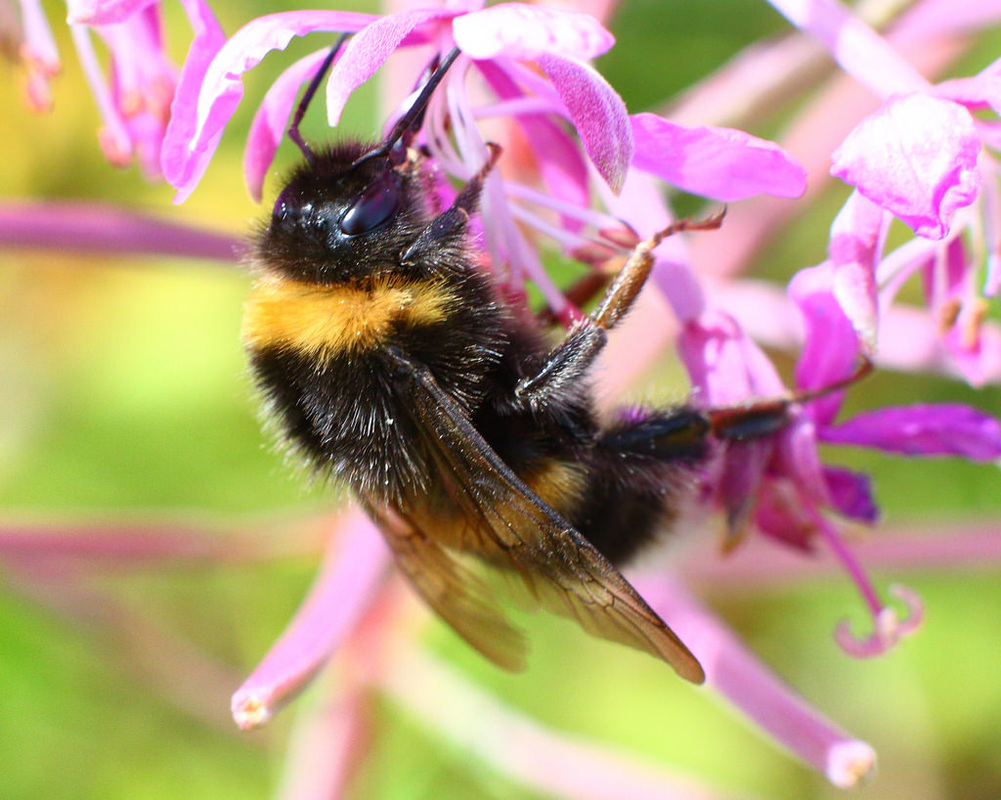 十大外围足球平台app