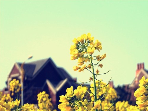 十大外围足球平台app