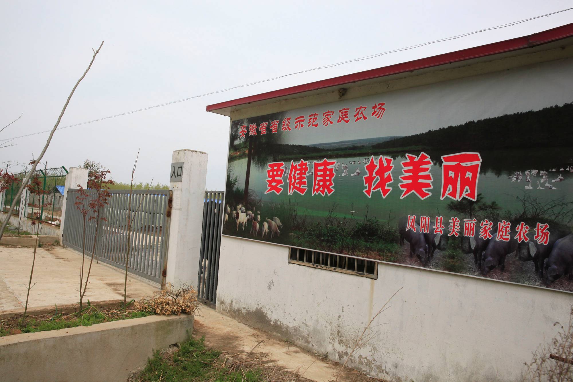 十大外围足球平台app