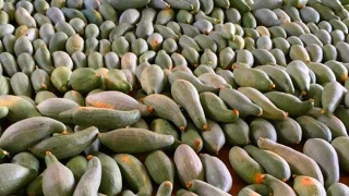 十大外围足球平台app